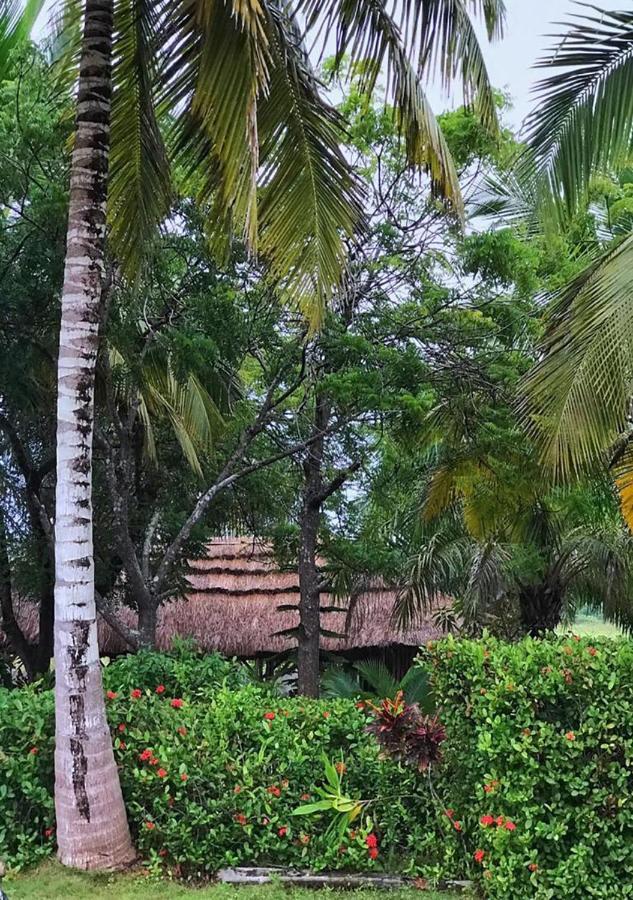 Twitter Paradise Ampeni Exterior photo