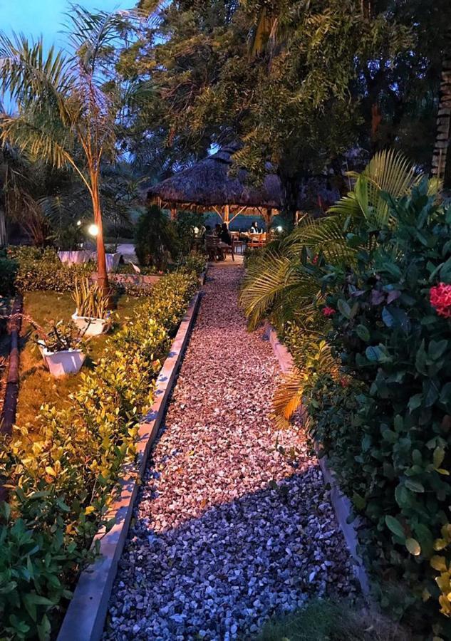 Twitter Paradise Ampeni Exterior photo