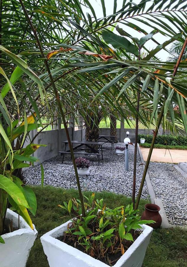Twitter Paradise Ampeni Exterior photo