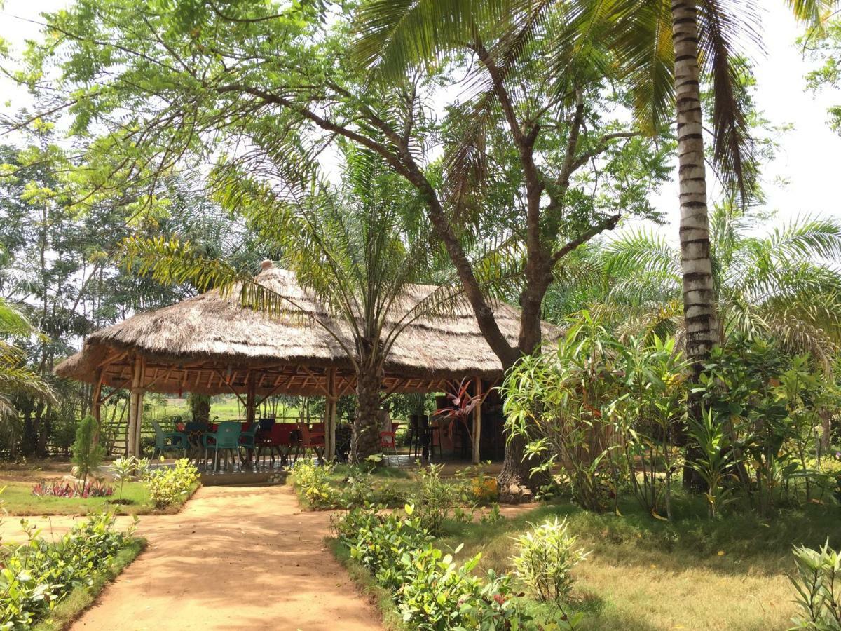 Twitter Paradise Ampeni Exterior photo