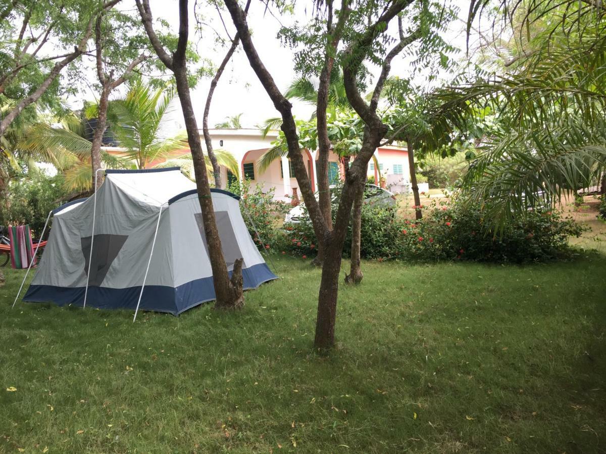 Twitter Paradise Ampeni Exterior photo