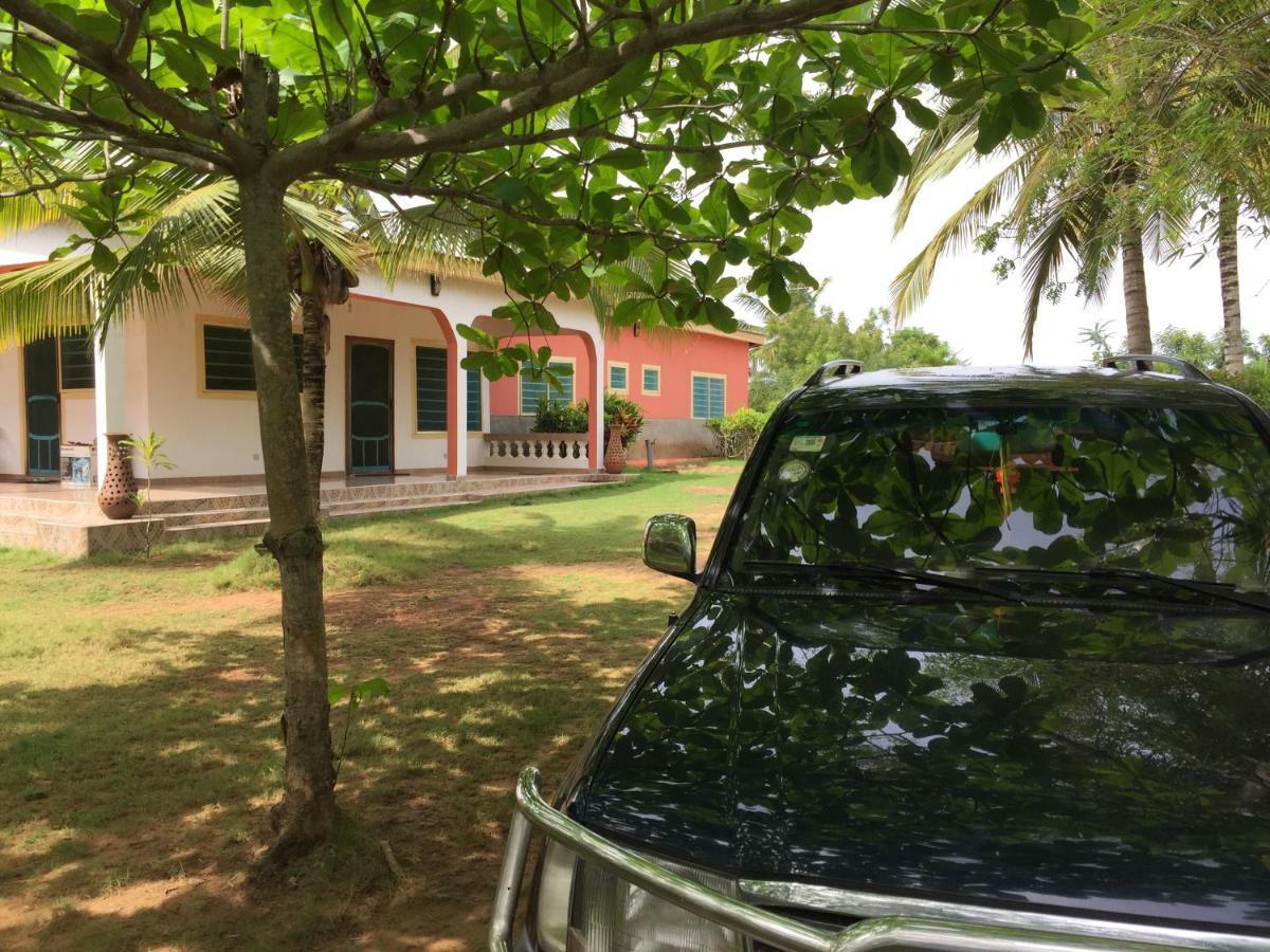 Twitter Paradise Ampeni Exterior photo