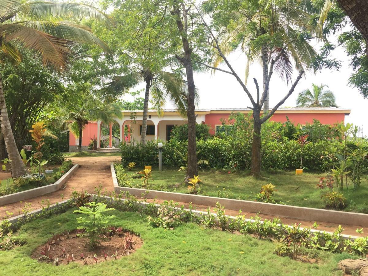 Twitter Paradise Ampeni Exterior photo