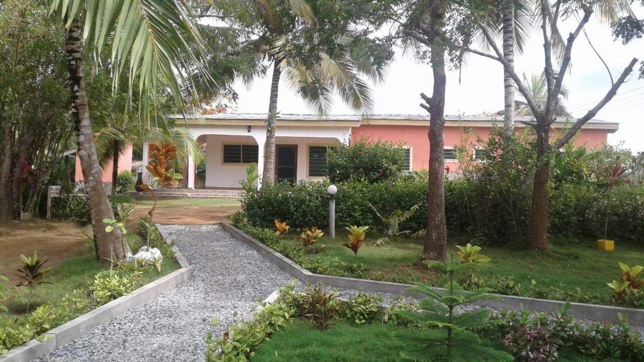 Twitter Paradise Ampeni Exterior photo